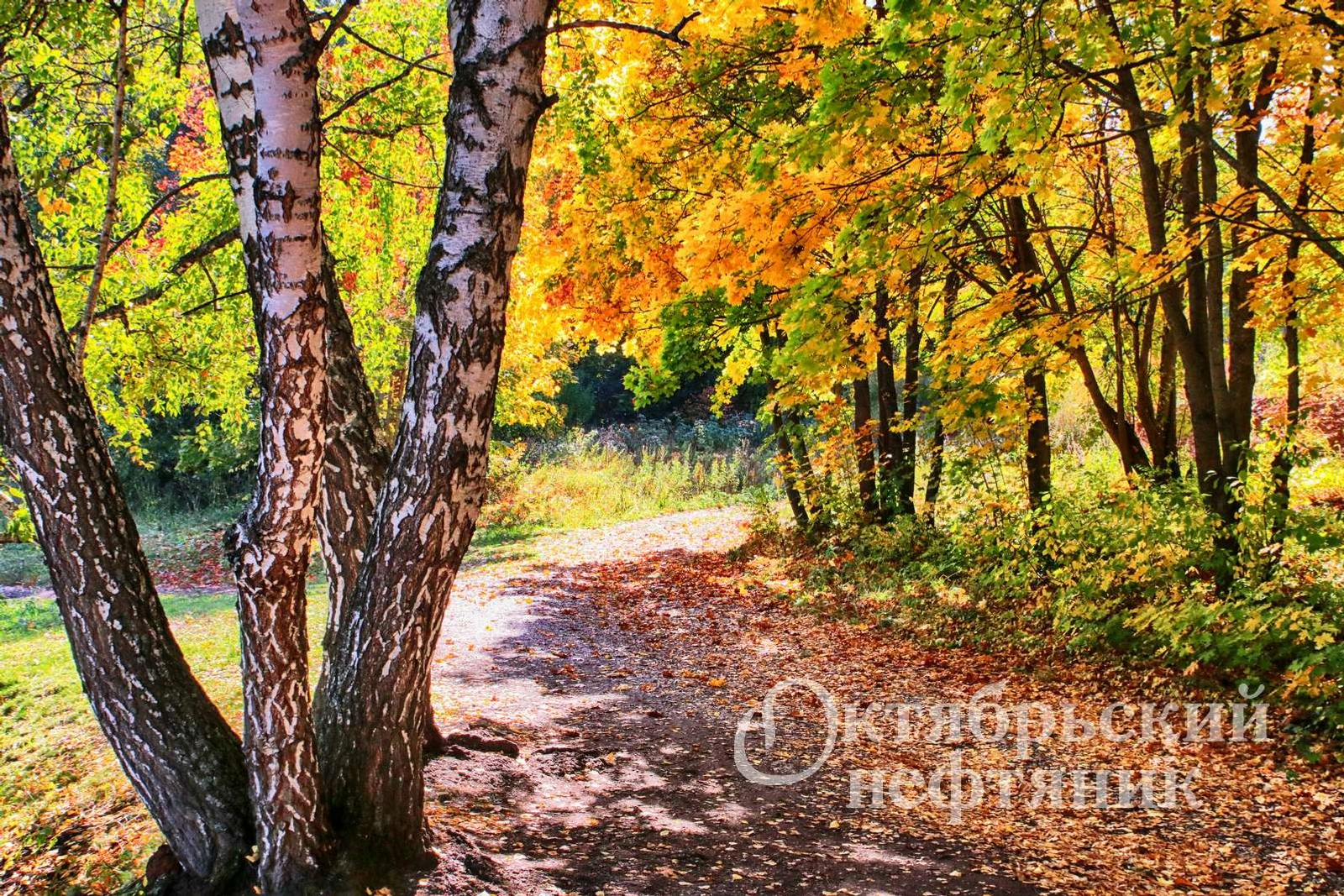 из архива газеты «Октябрьский нефтяник»