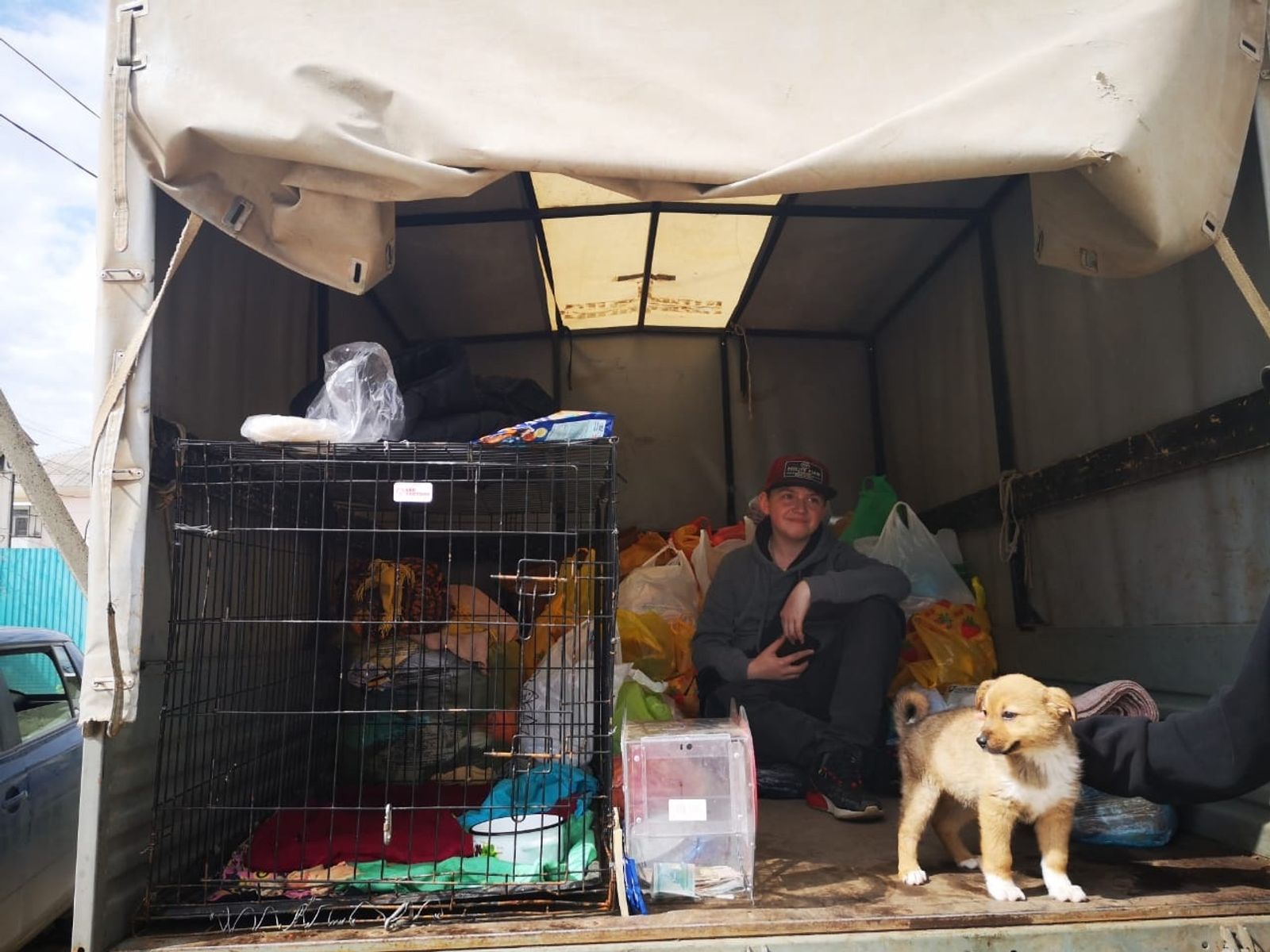 В Октябрьском проходит акция помощи приюту для бездомных животных