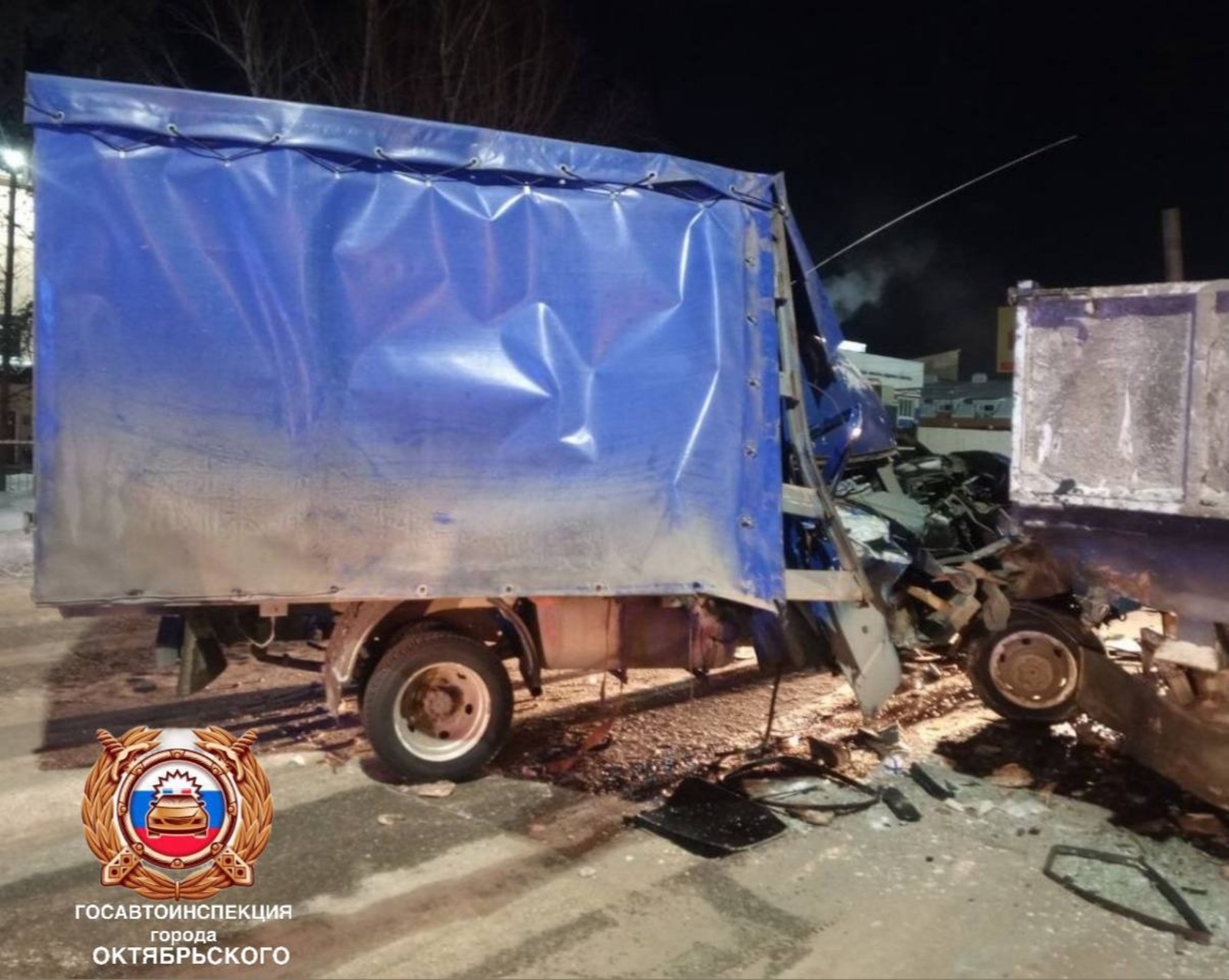 предоставлено Алиной Наширвановой