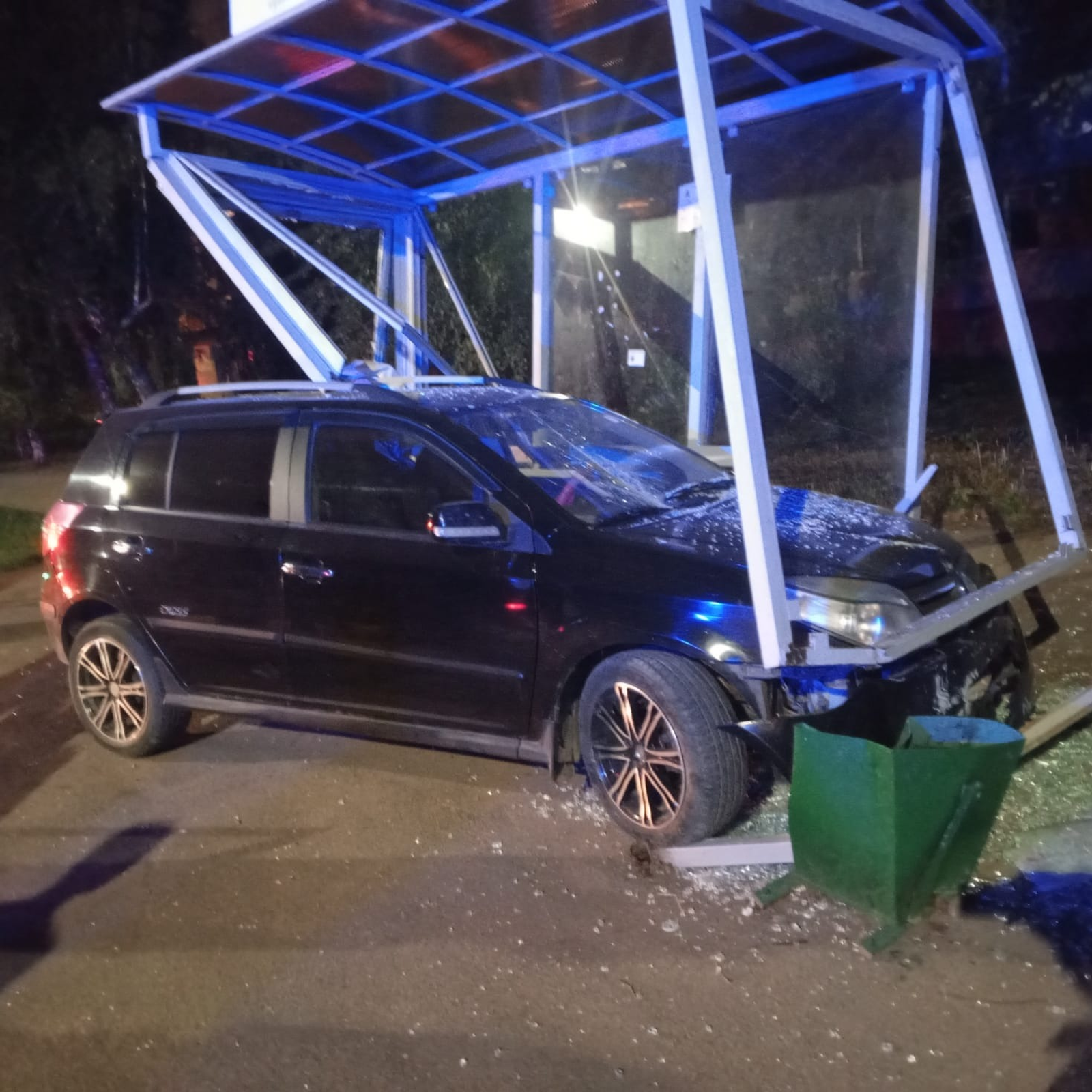 предоставлено Алиной Наширвановой