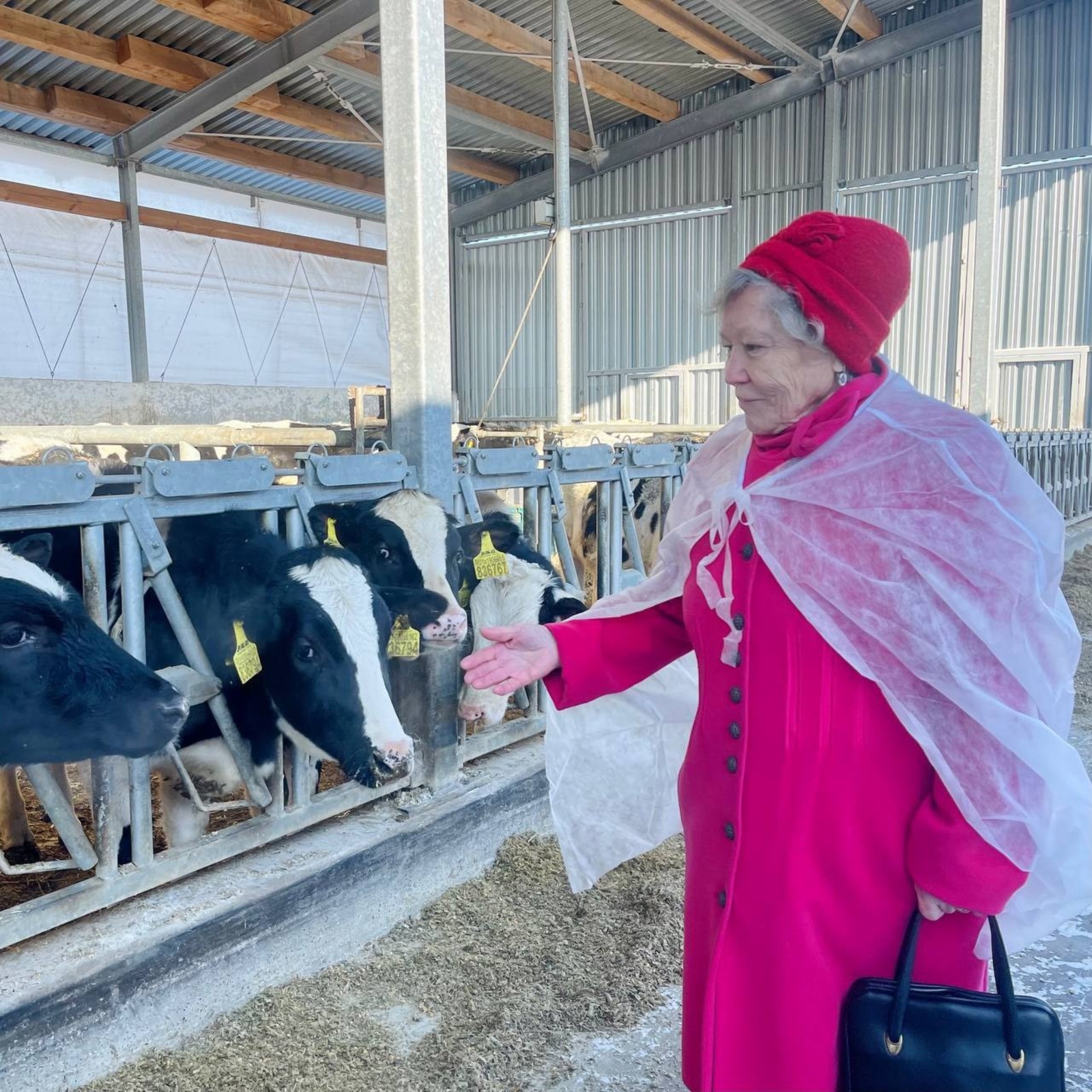 Октябрьского дома-интерната для престарелых и инвалидов