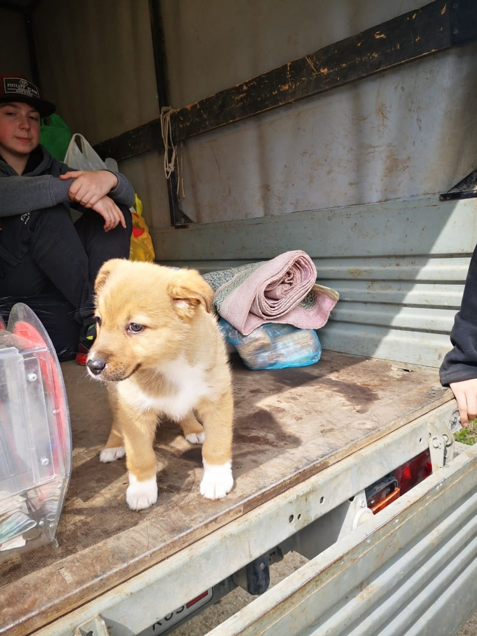 В Октябрьском проходит акция помощи приюту для бездомных животных
