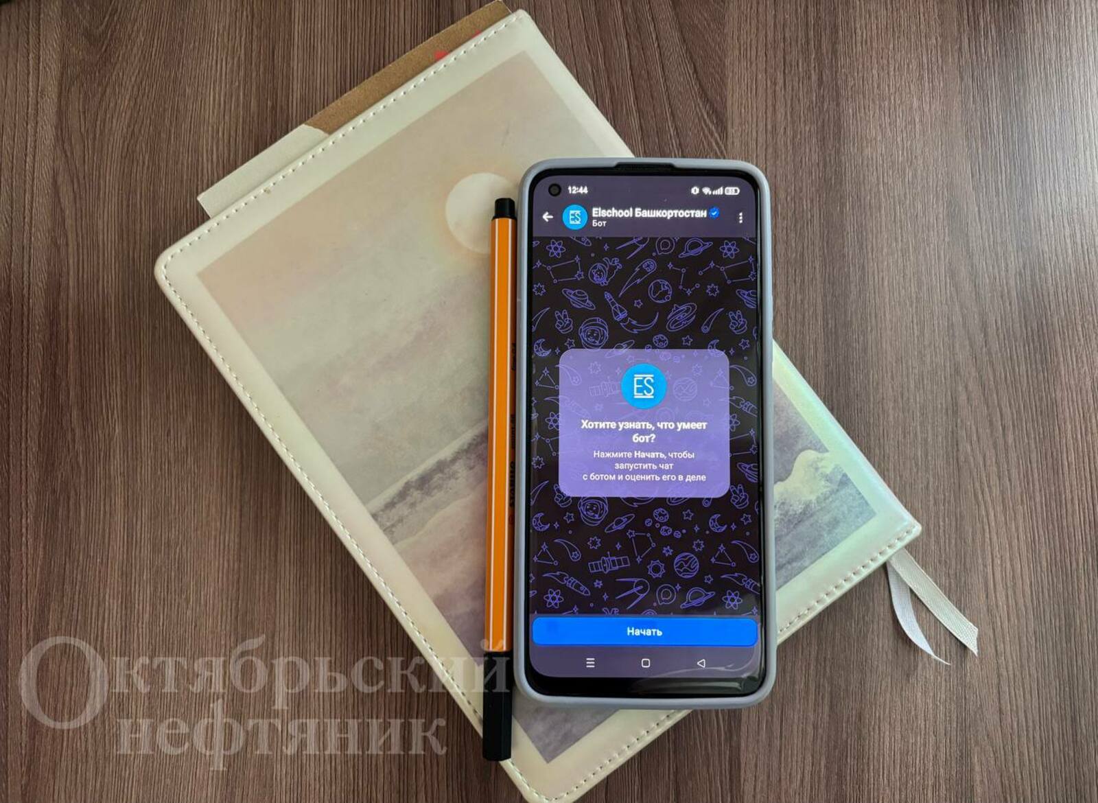 В Башкирии в MAX для школьников и родителей заработал электронный дневник