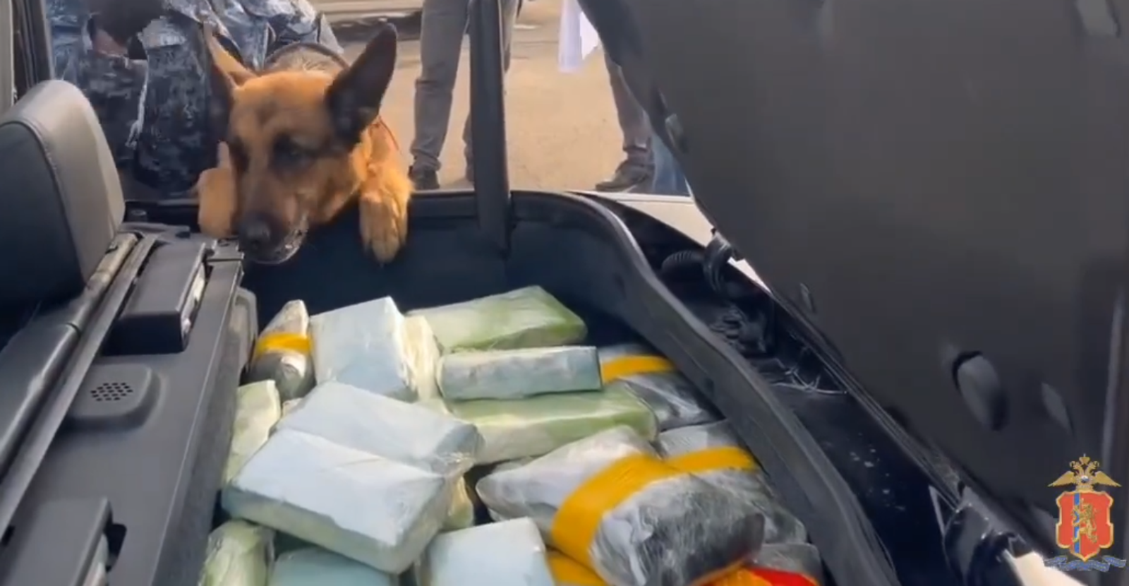 скриншот видео со страницы в МАХ МВД по РФ