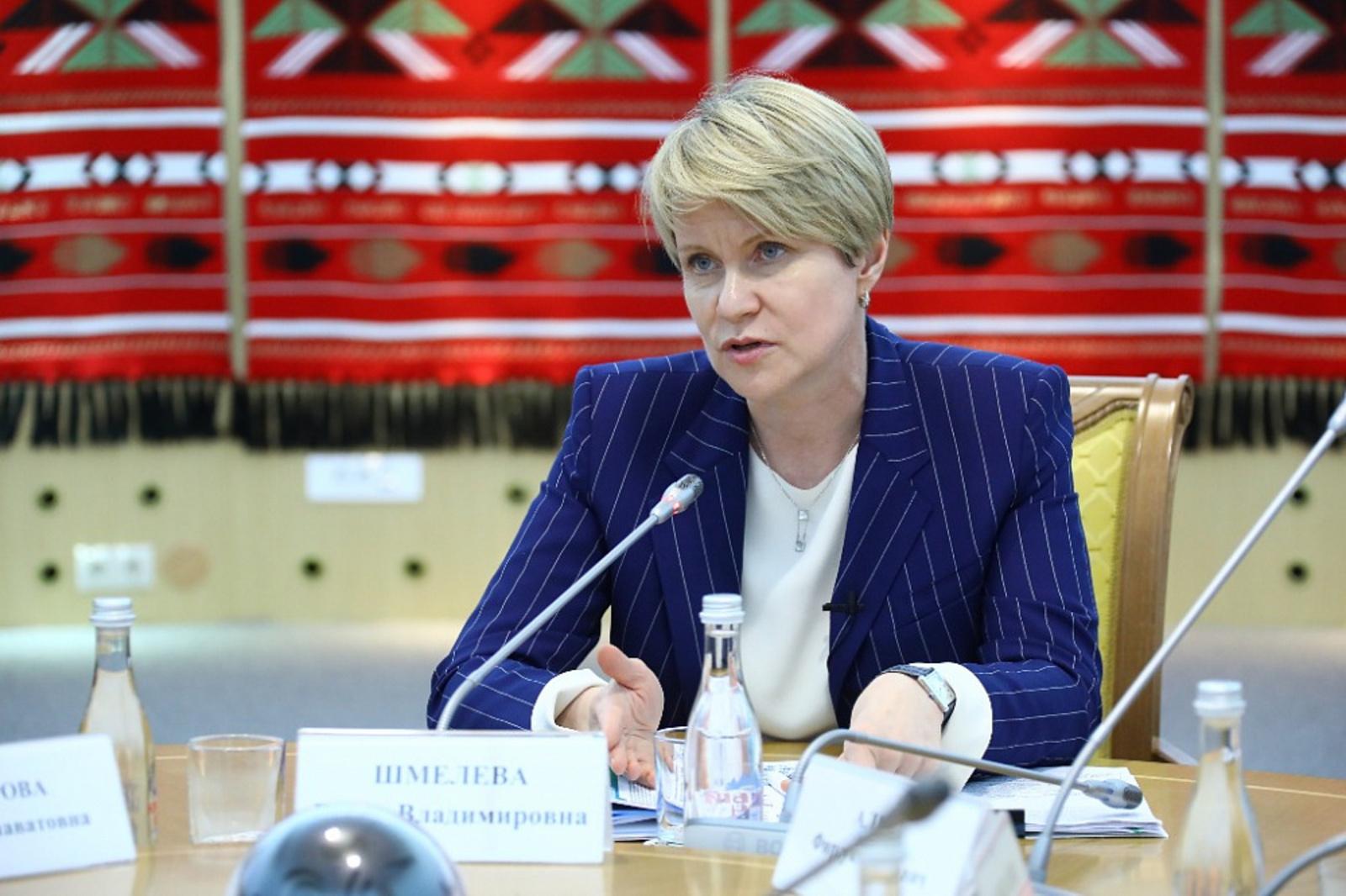 Сопредседатель ОНФ Елена Шмелева оценила проект Евразийского НОЦ в Башкирии