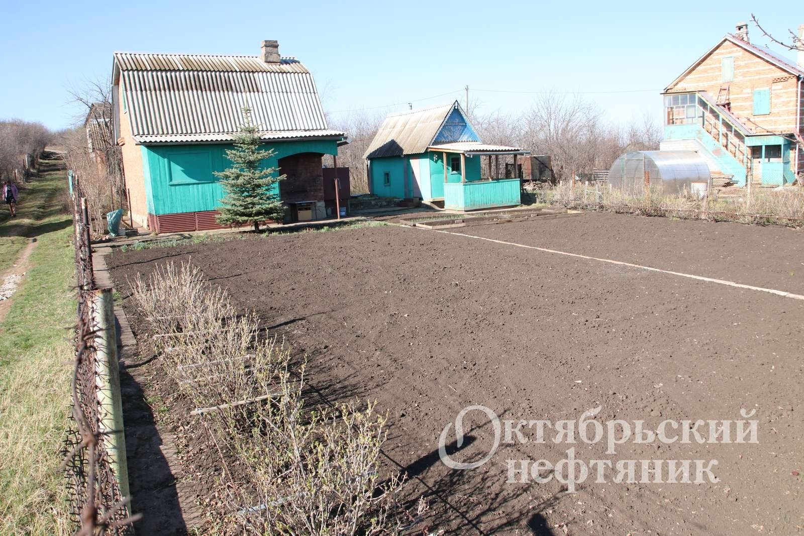 из архива газеты «Октябрьский нефтяник»