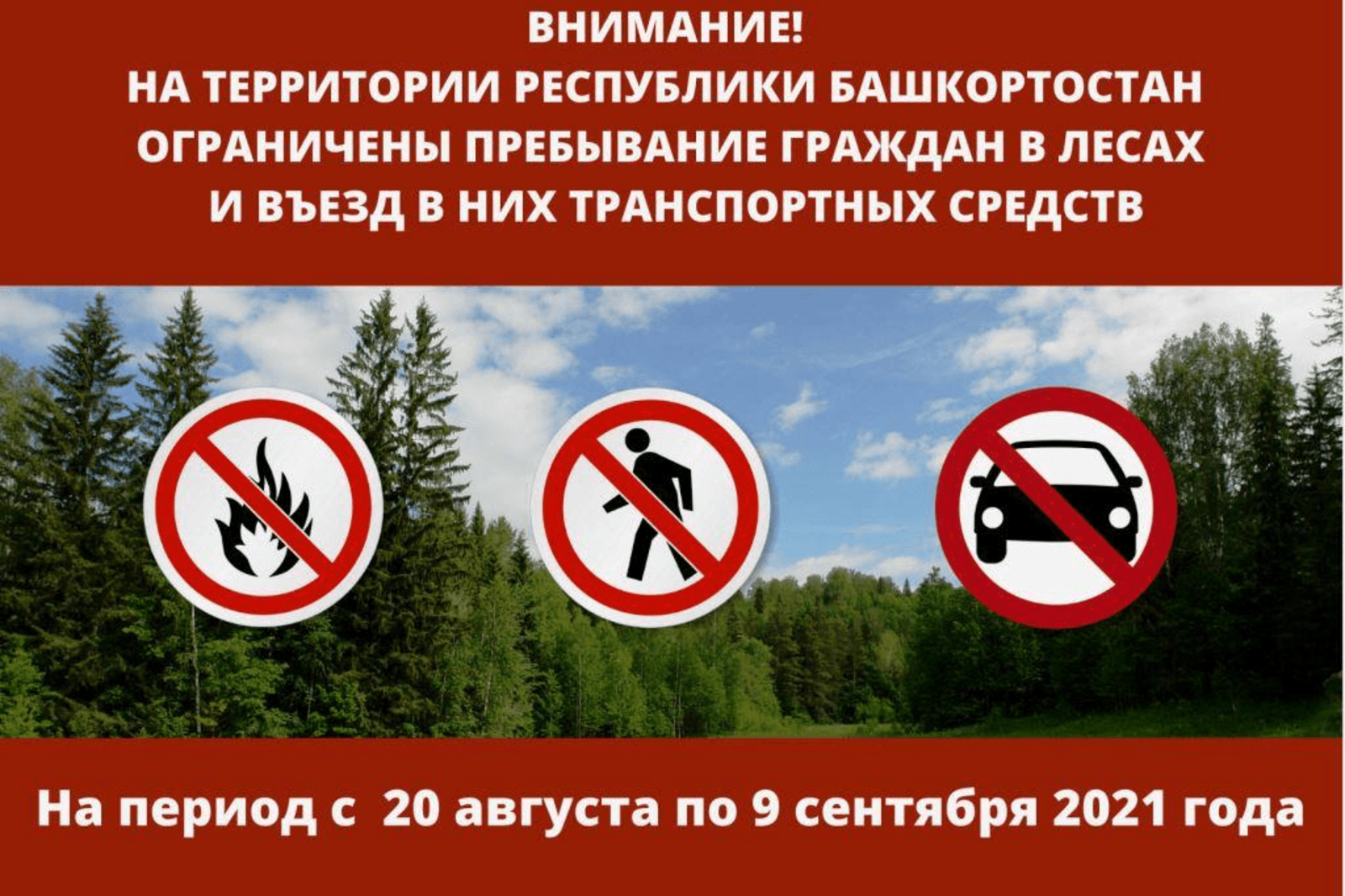 В Башкортостане ограничили пребывание в лесах граждан и охотников