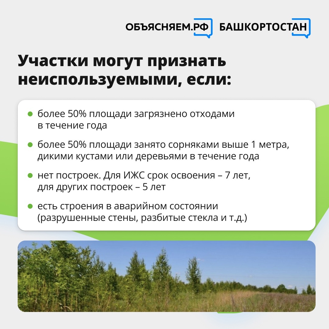 Октябрьцам разъяснили, когда земельный участок могут признать неиспользуемым