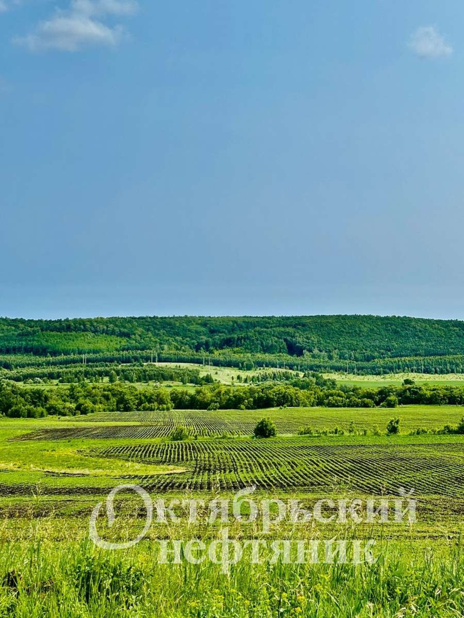 из архива газеты «Октябрьский нефтяник»