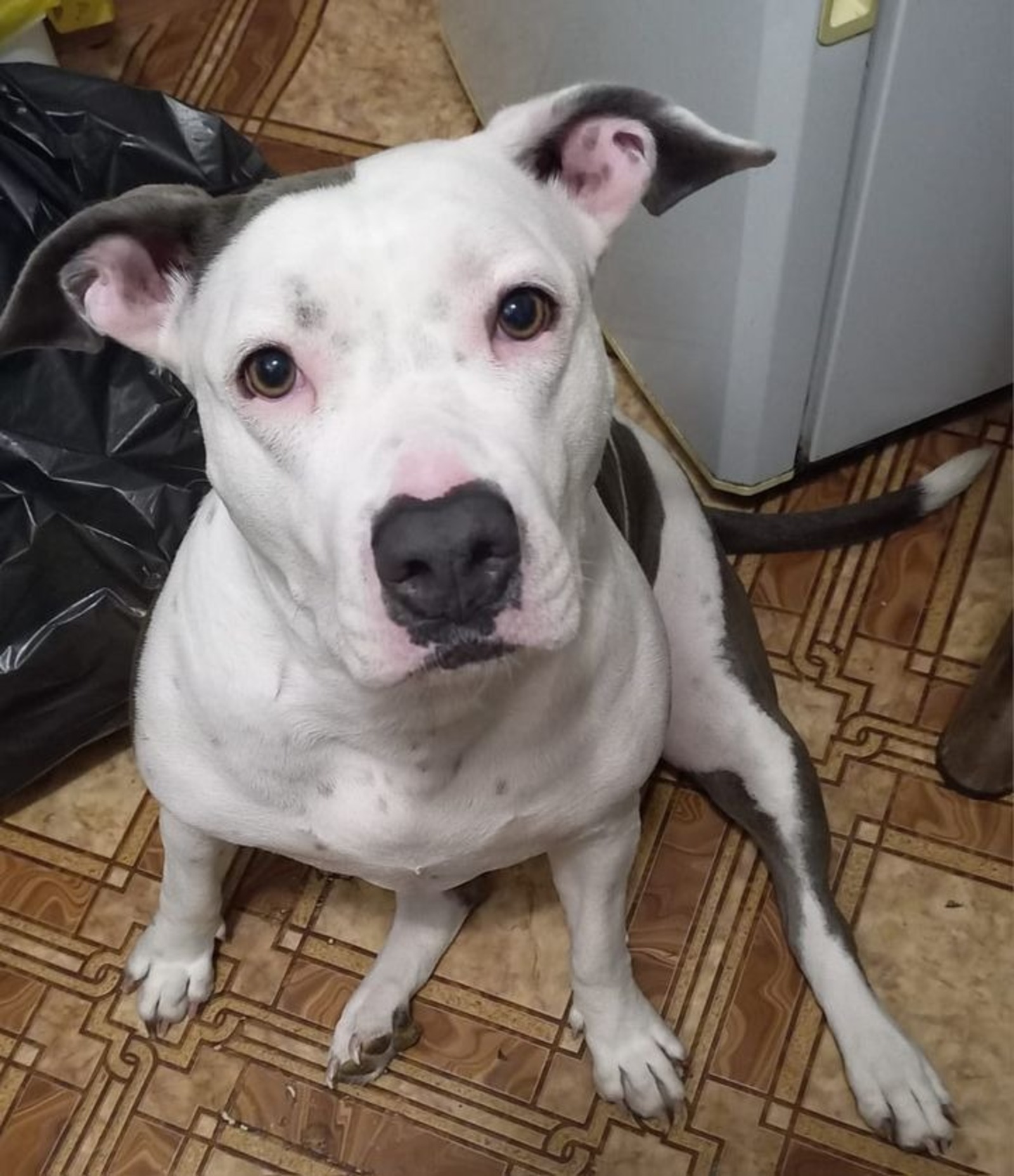 предоставлено Василием Агафоновым