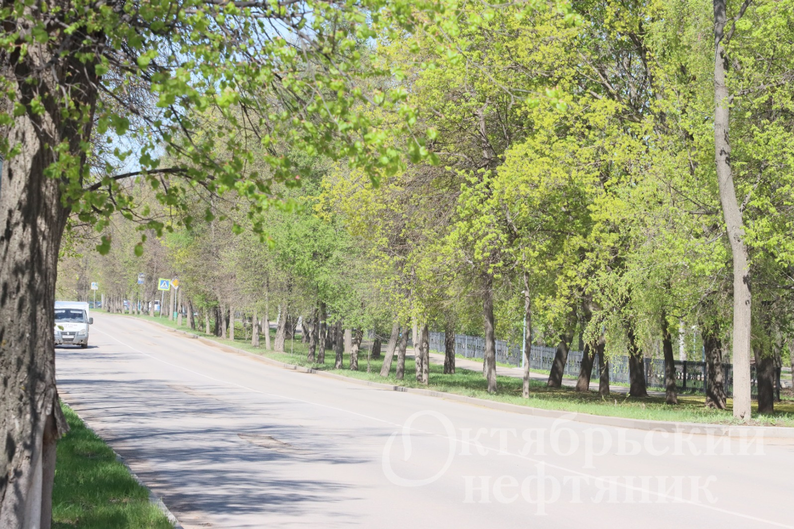 из архива газеты «Октябрьский нефтяник»