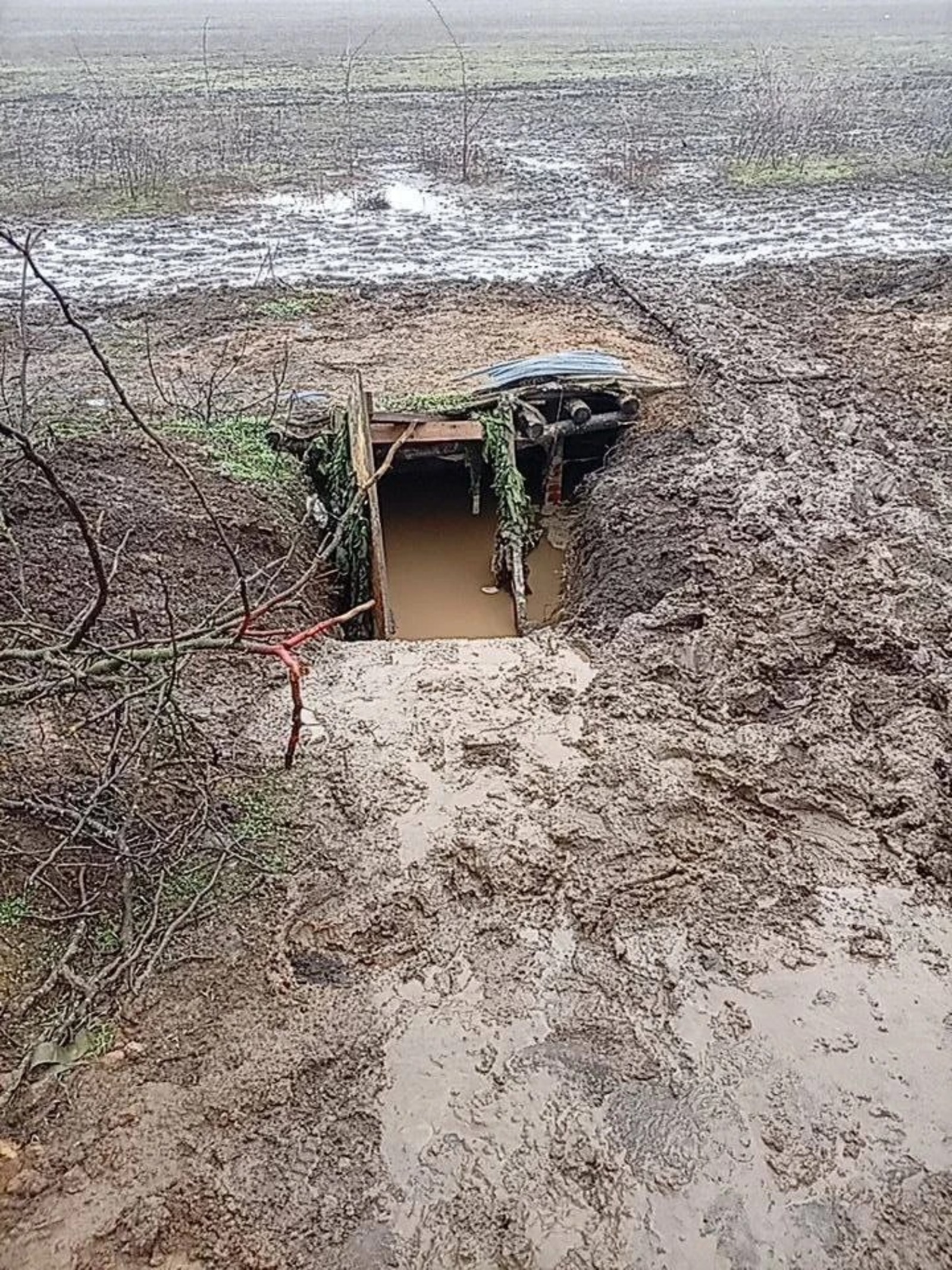 предоставлено волонтёрской группой «Оберег»