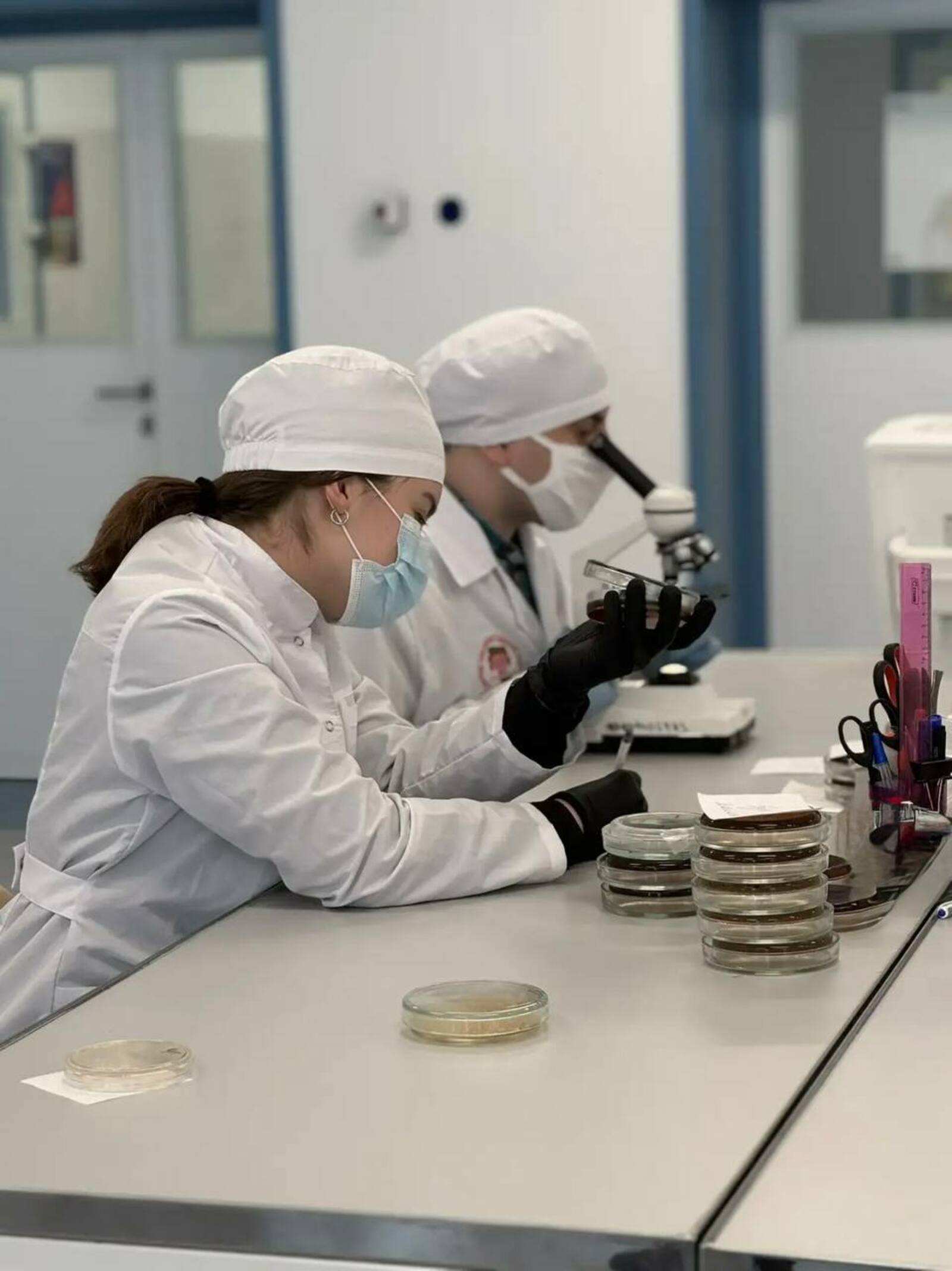 В Башкирии создали тест-систему быстрого поиска «бактерии стройности» у человека