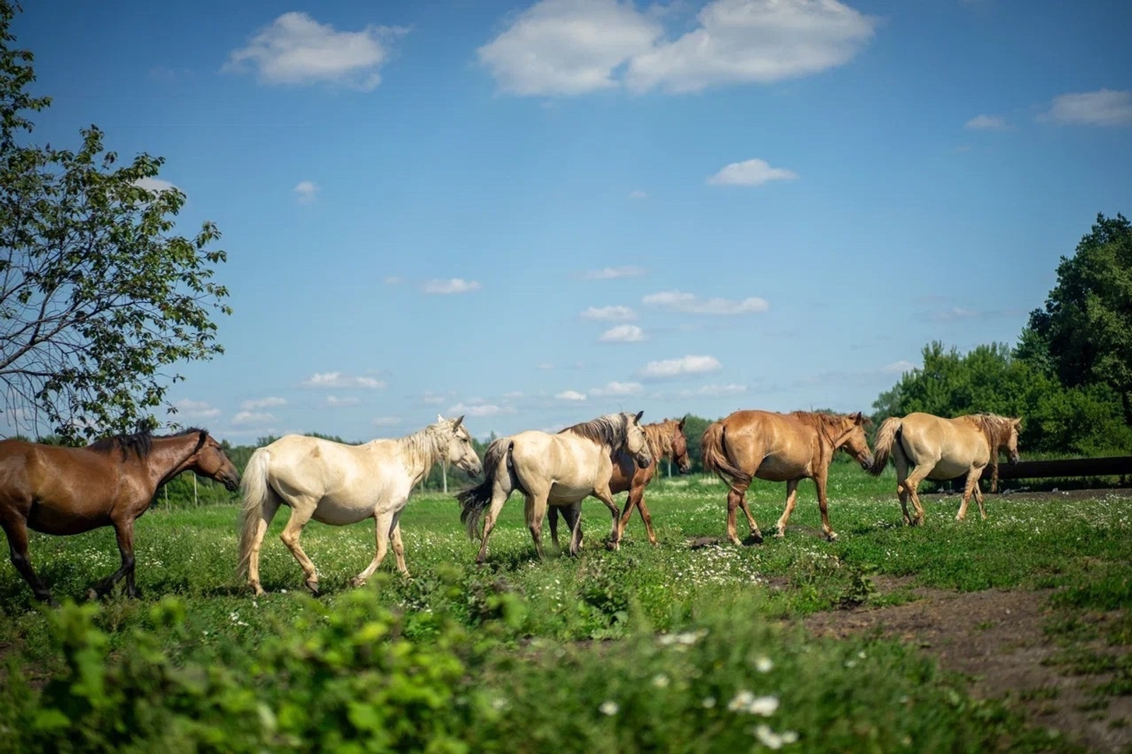 со страницы Радия Хабирова в «ВКонтакте»
