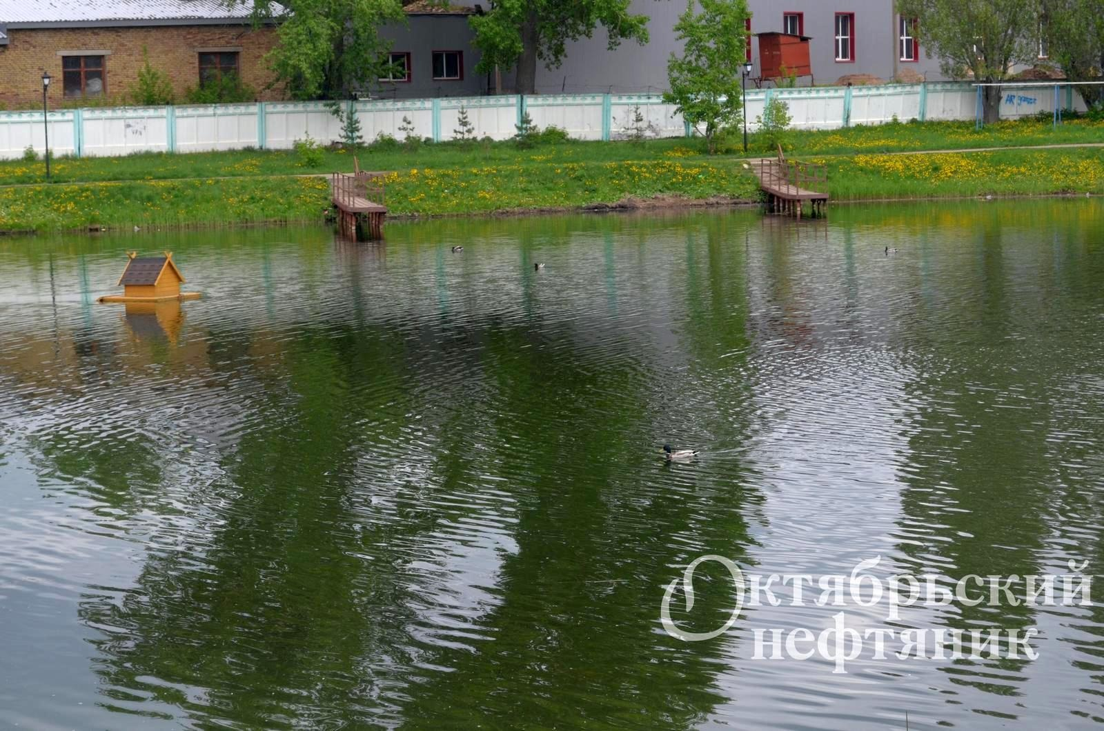 из архива газеты «Октябрьский нефтяник»