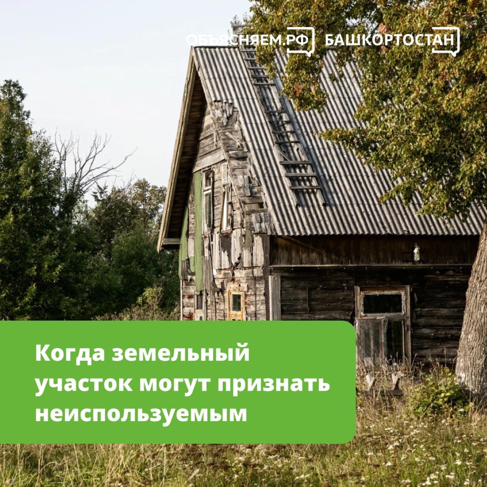 Октябрьцам разъяснили, когда земельный участок могут признать неиспользуемым