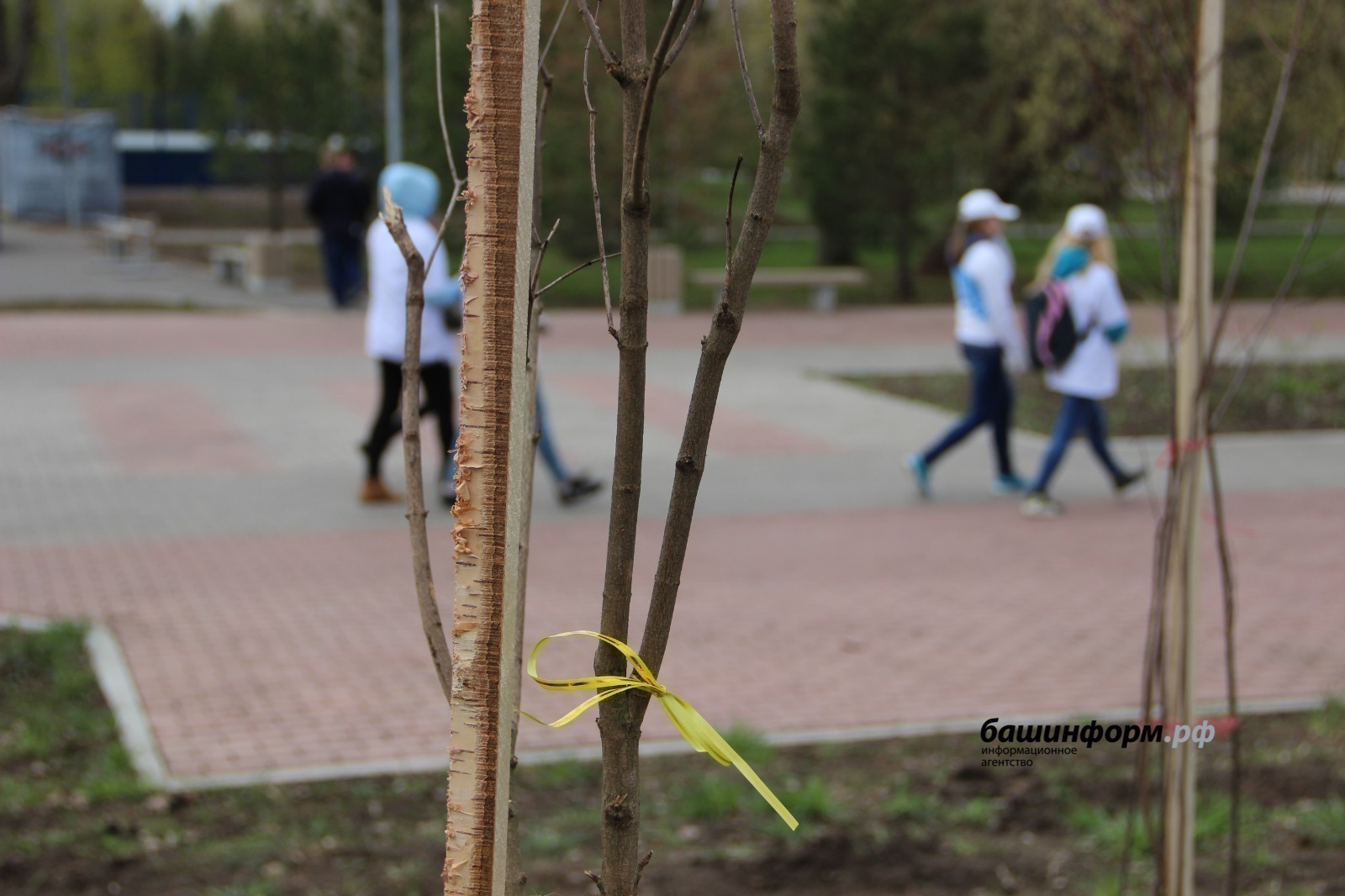 ИА «Башинформ»