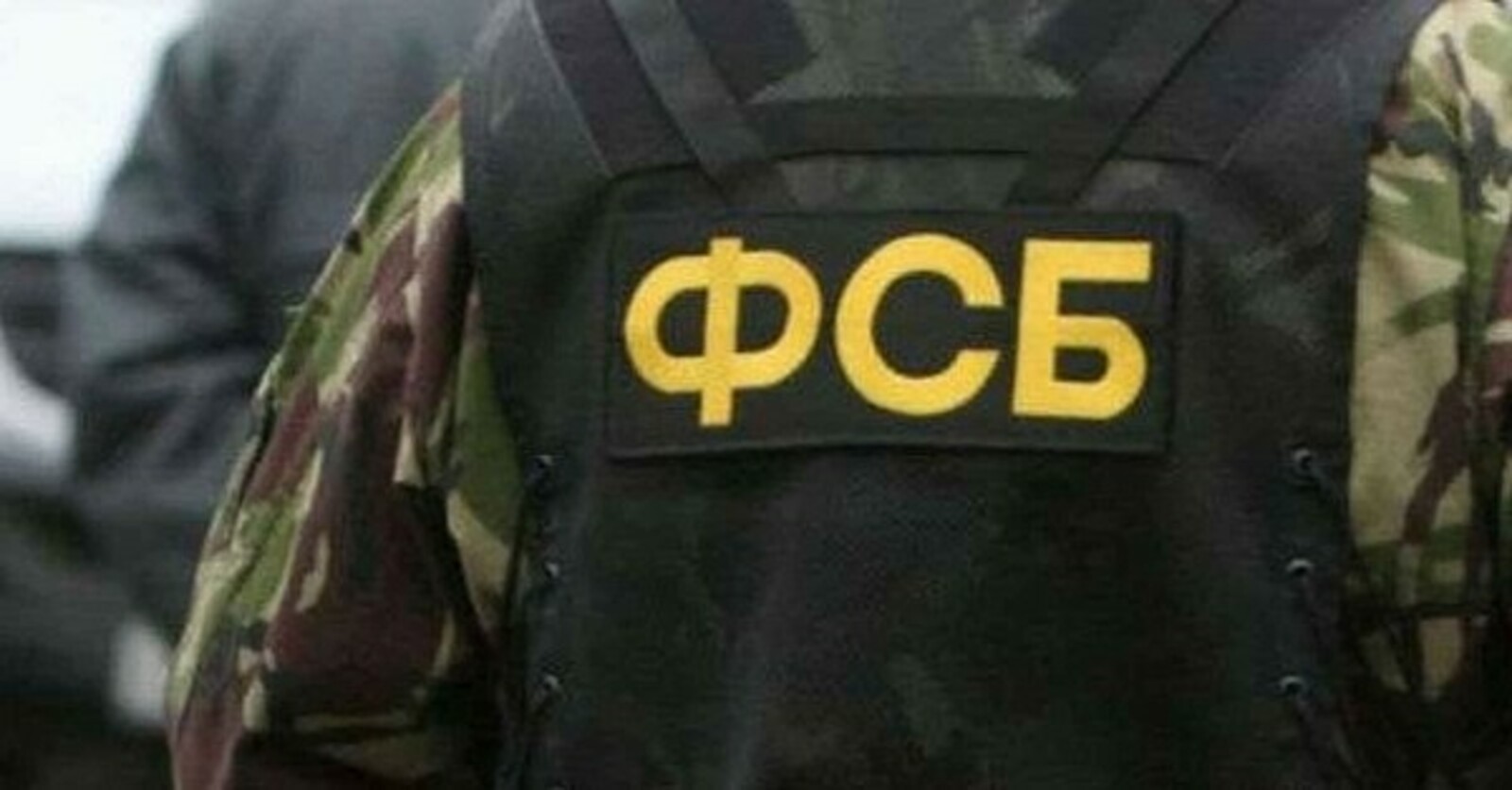 В России задержаны десятки вооруженных сторонников украинской неонацистской группировки
