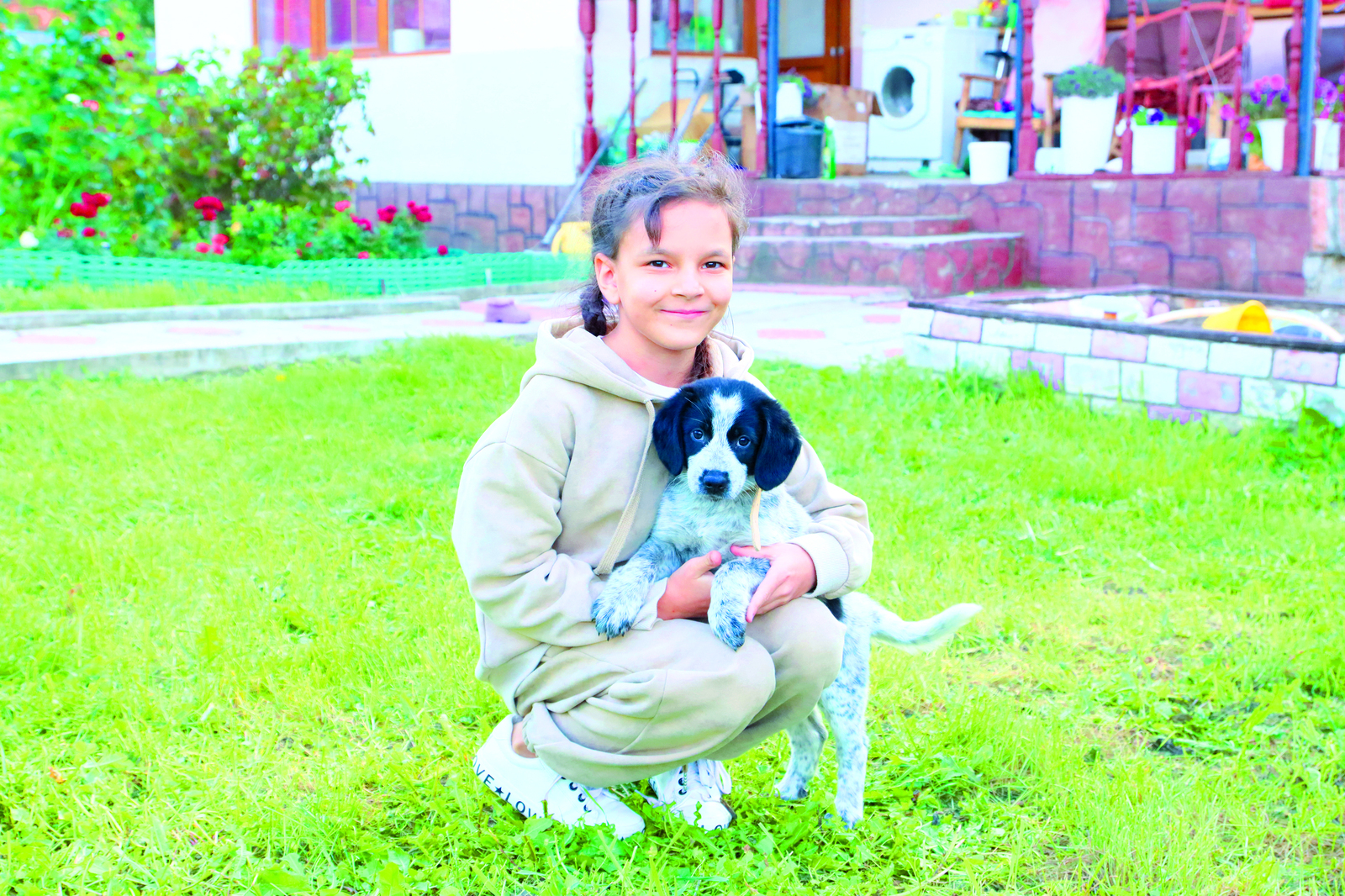 Семья из Октябрьского приютила фронтового щенка