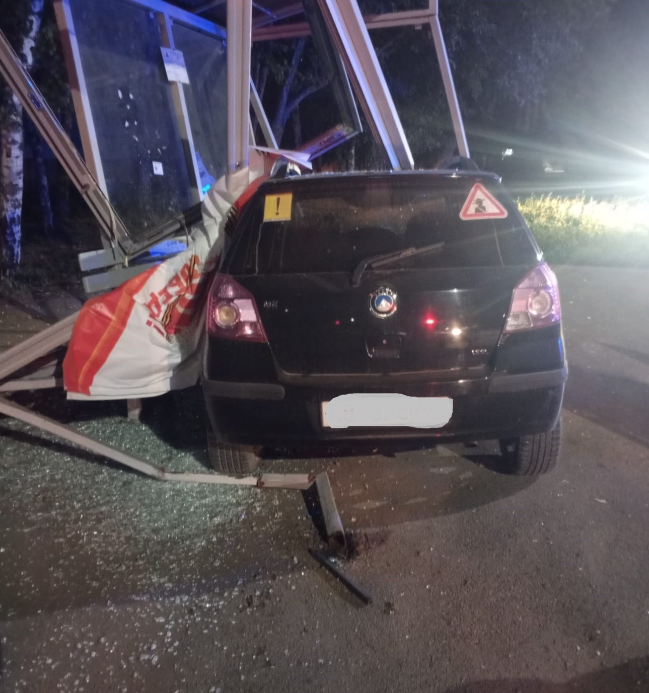 предоставлено Алиной Наширвановой