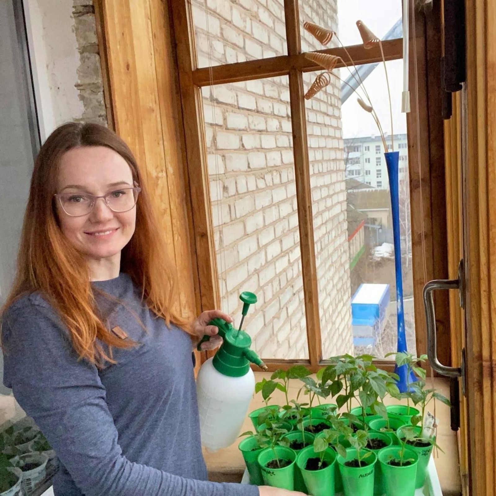 Кристина Истомина выращивает рассаду в квартире на подоконнике
