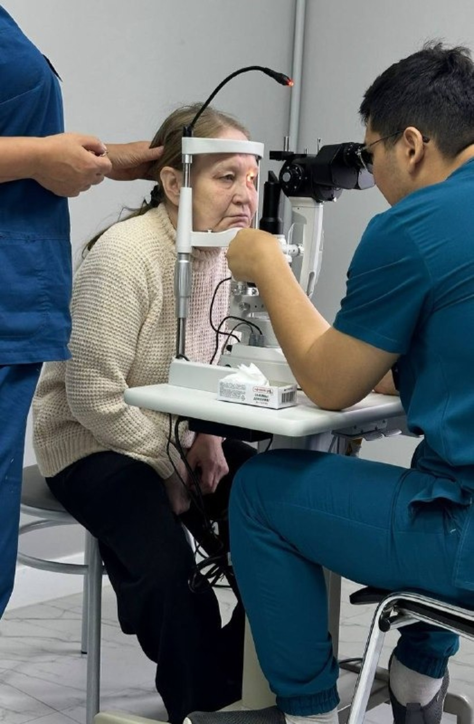 предоставлено Алиной Быстровой