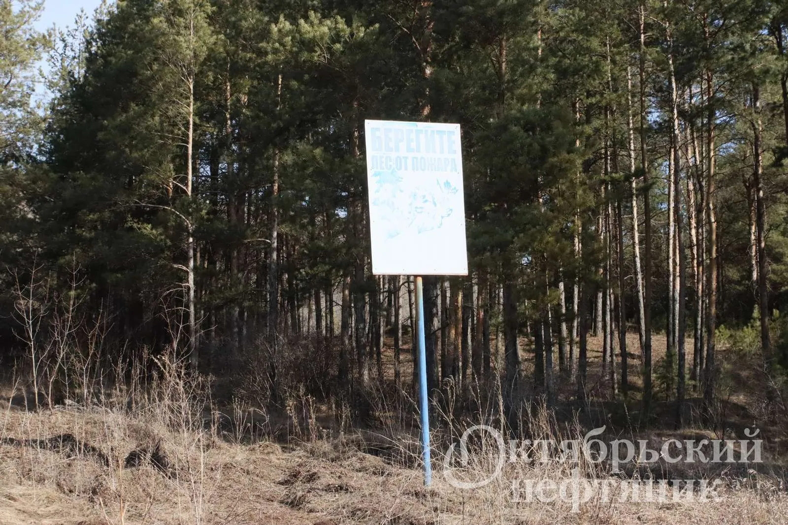 из архива газеты «Октябрьский нефтяник»
