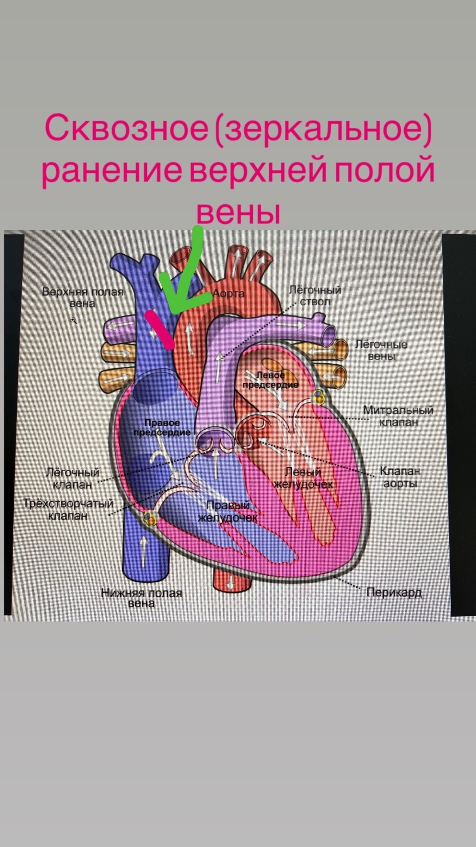 предоставлено Салаватом Валиевым