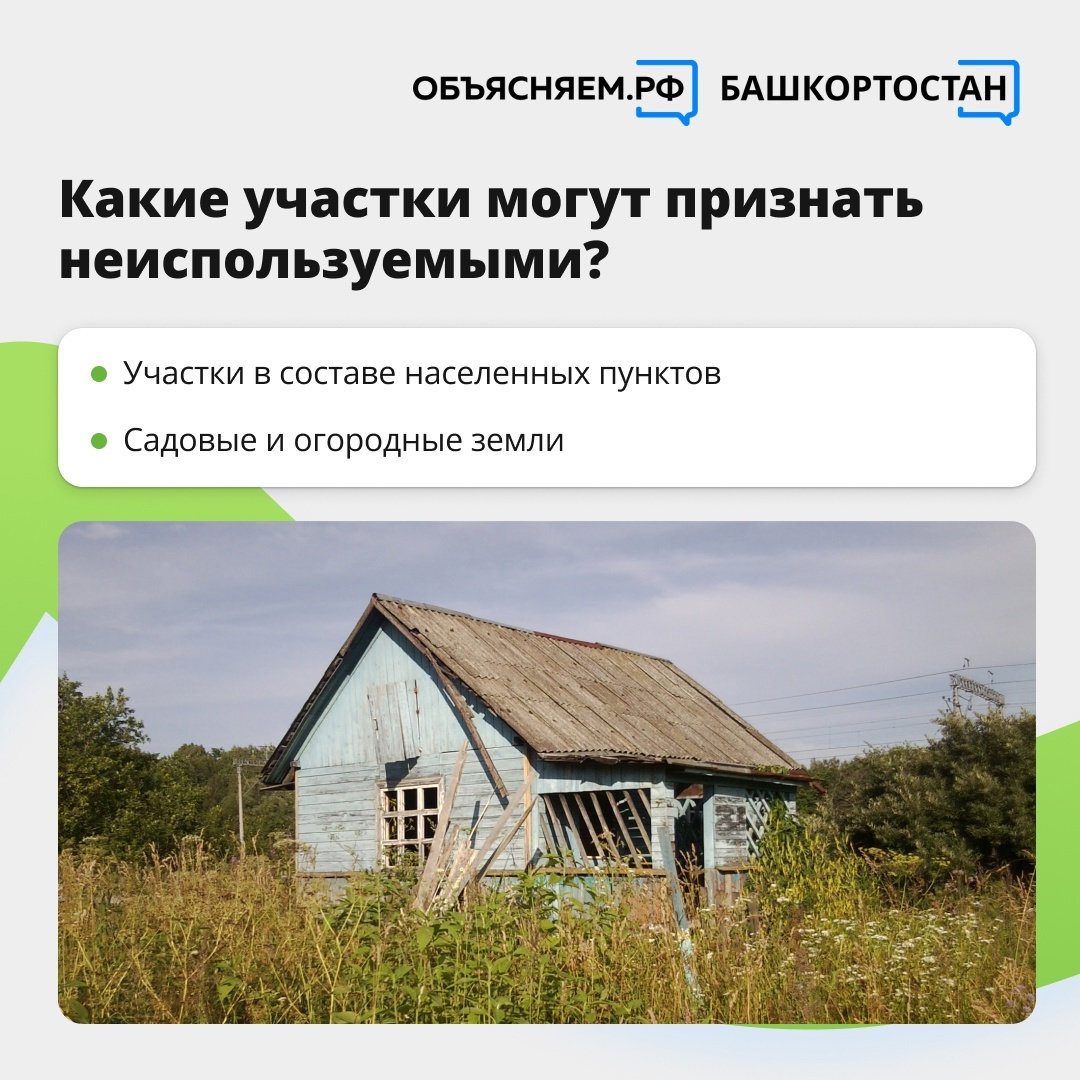 Октябрьцам разъяснили, когда земельный участок могут признать неиспользуемым