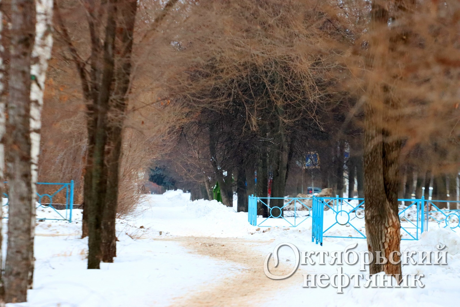 из архива газеты «Октябрьский нефтяник»