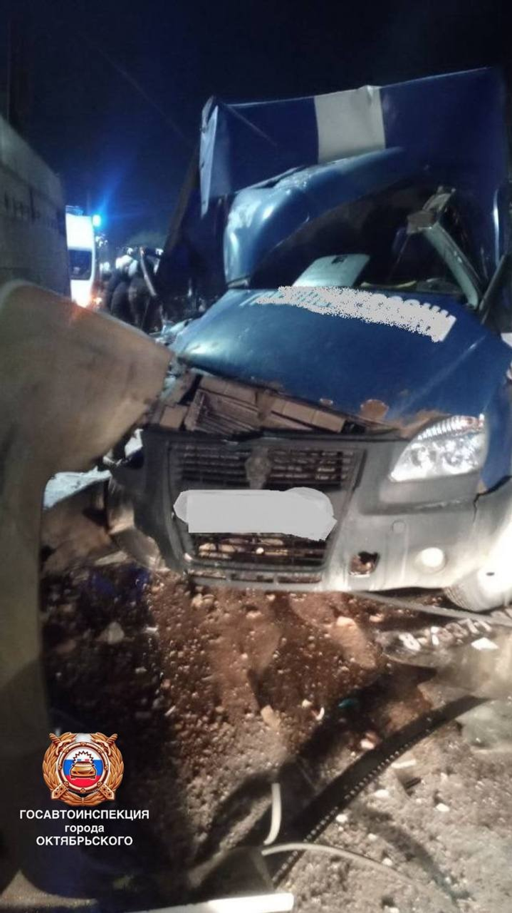 предоставлено Алиной Наширвановой