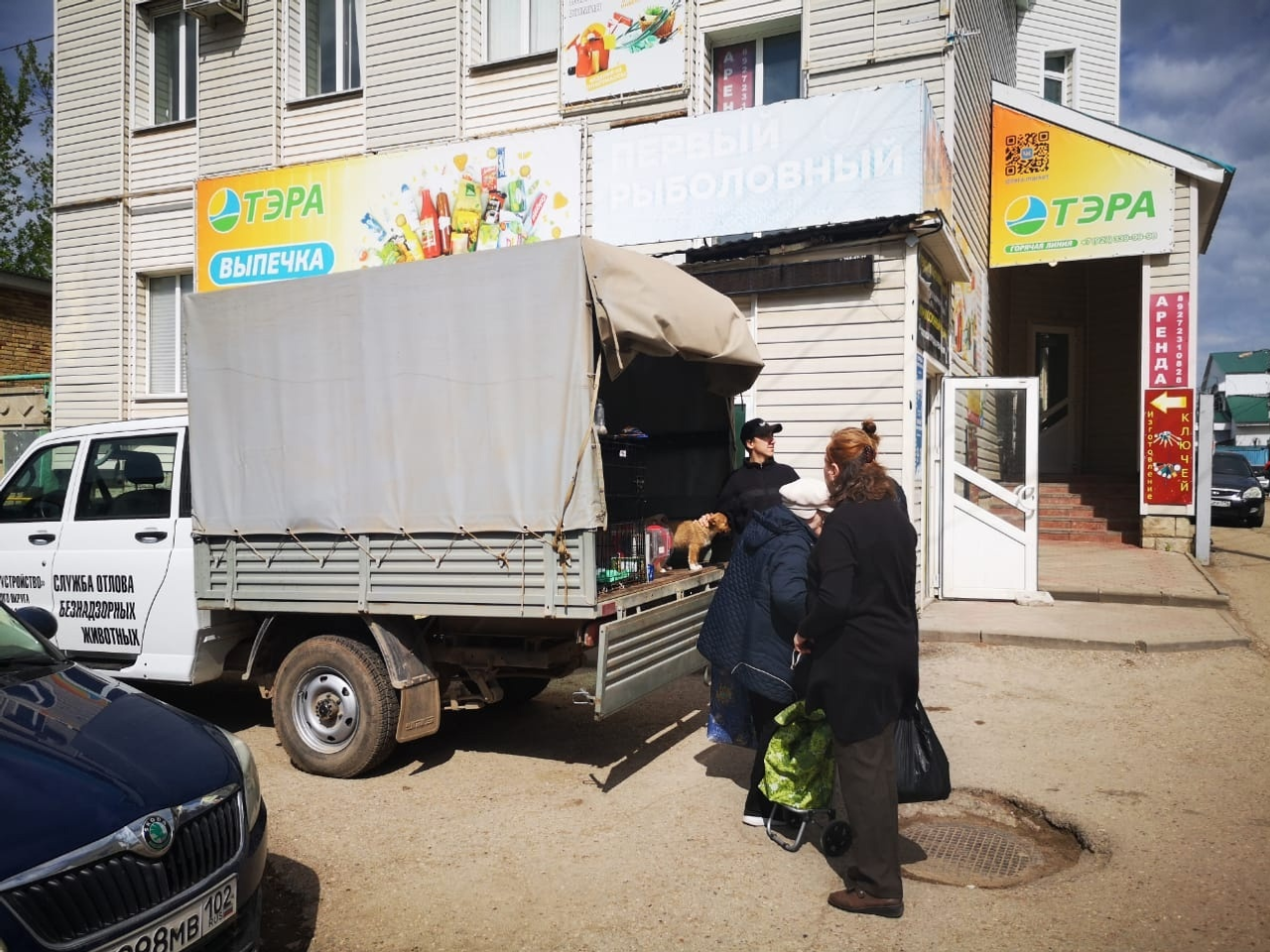 В Октябрьском проходит акция помощи приюту для бездомных животных