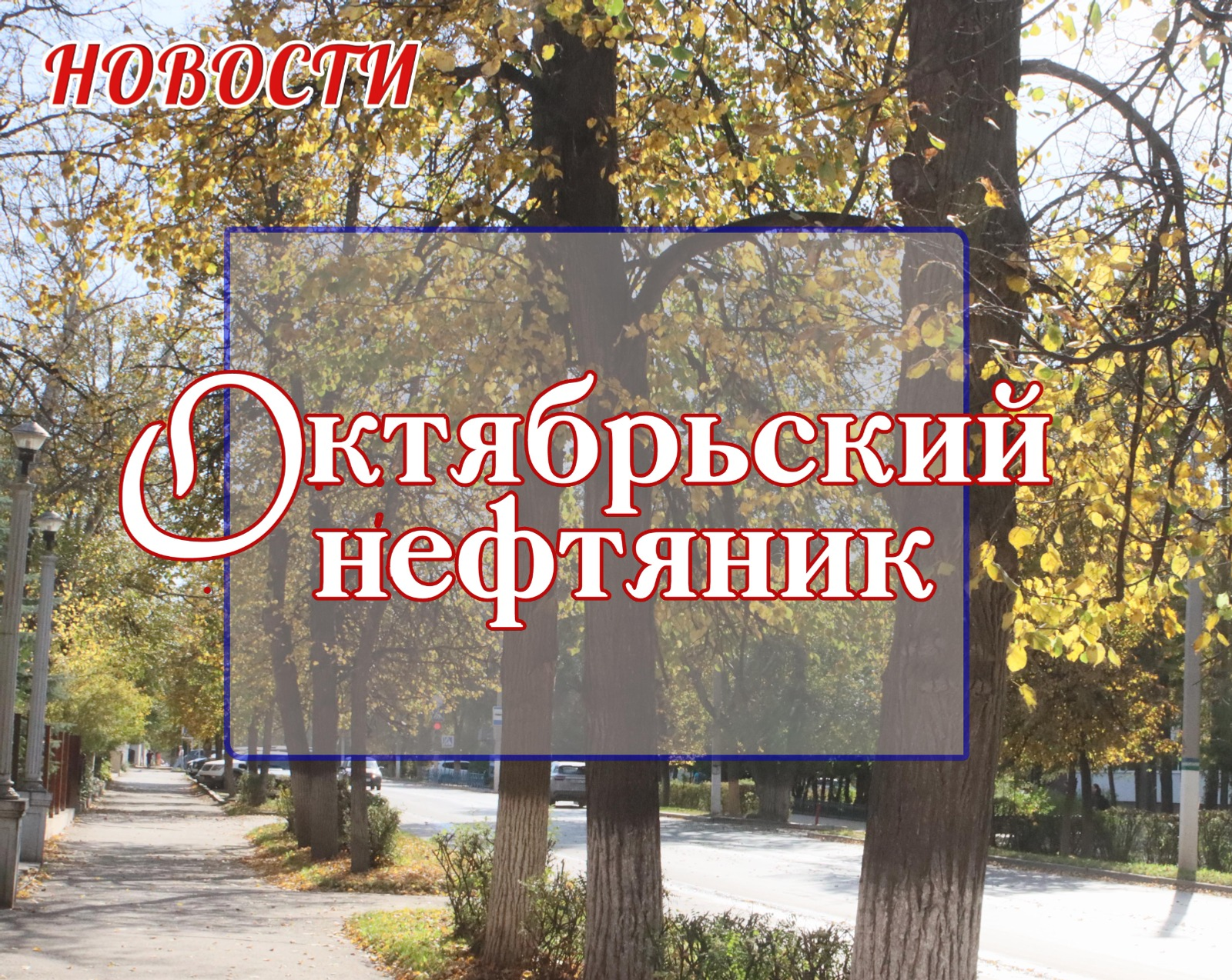 В Башкирии усилят видеомониторинг в лесах