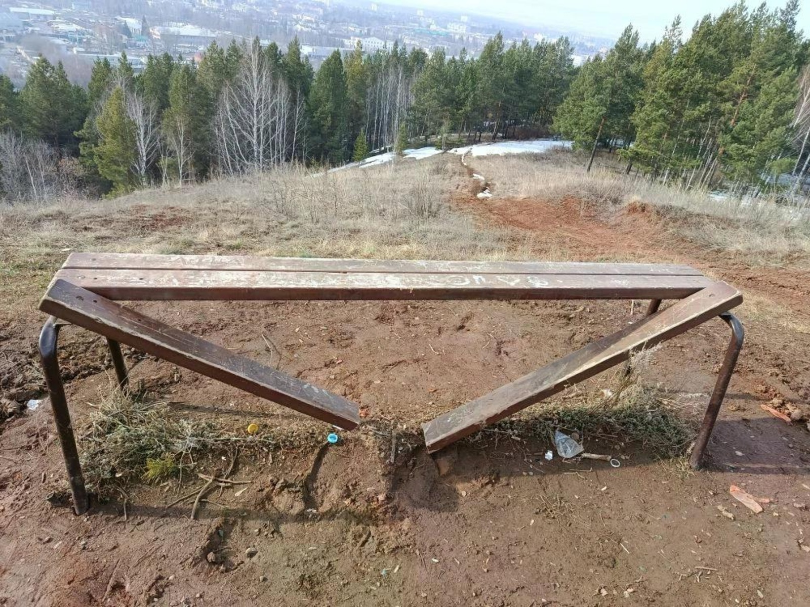 Надежда Садыкова